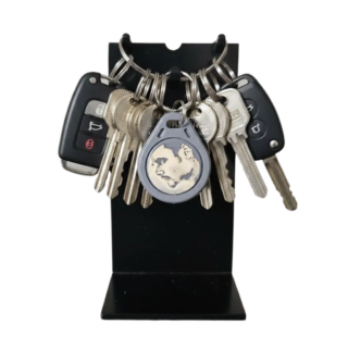 מחזיק-מפתחות-חכם