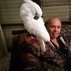 אברהם פסח קליצ'בסקי ז"ל